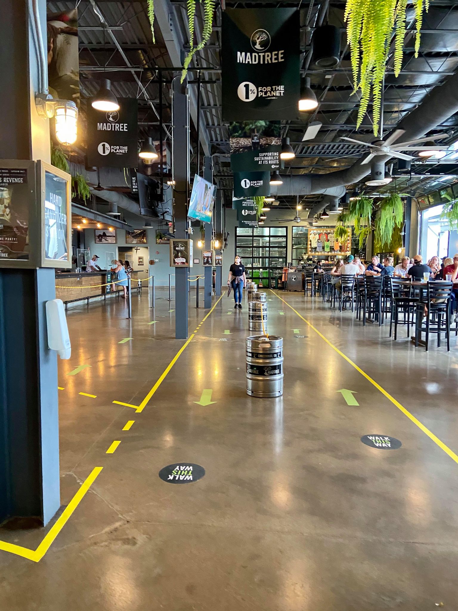 MadTree's Funk Series of Beer - From The Gnarly Gnome, image size:1536x2048